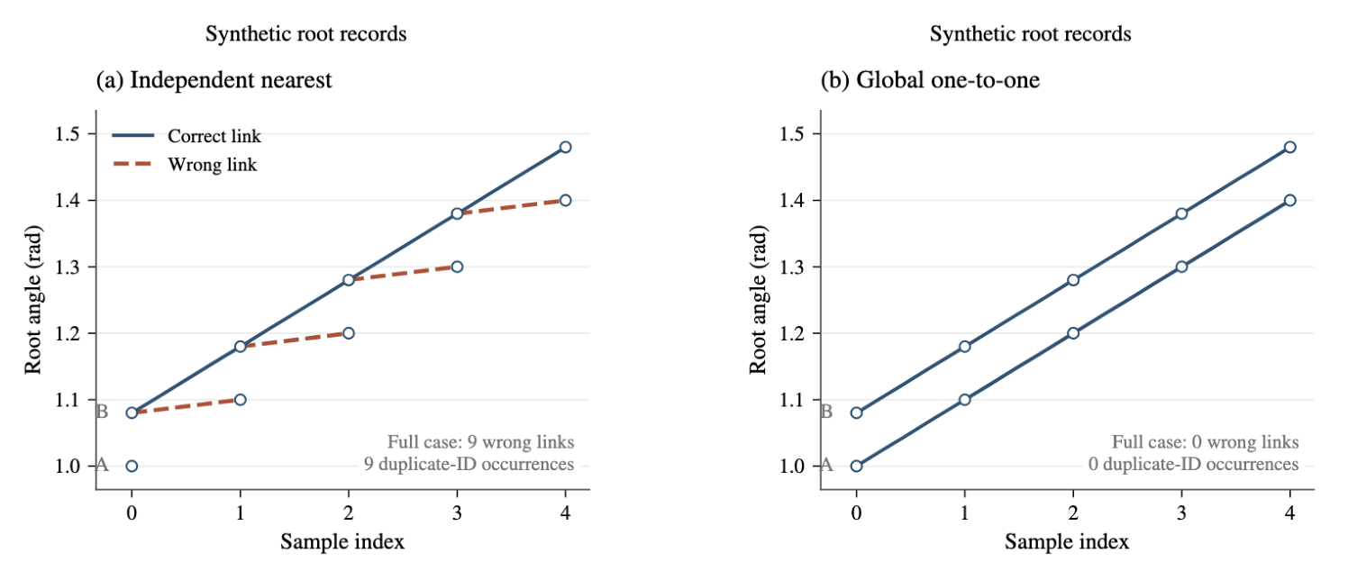 Manuscript Figure 16: independent matching creates dashed wrong links between two synthetic root tracks; global one-to-one matching preserves two separate tracks.